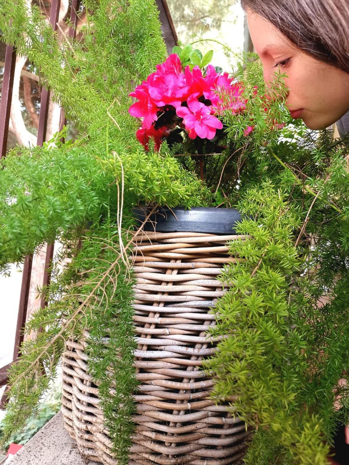 Casa Dorita - Free Breakfast Corner 8-12 Hotel แชร์เวีย ภายนอก รูปภาพ