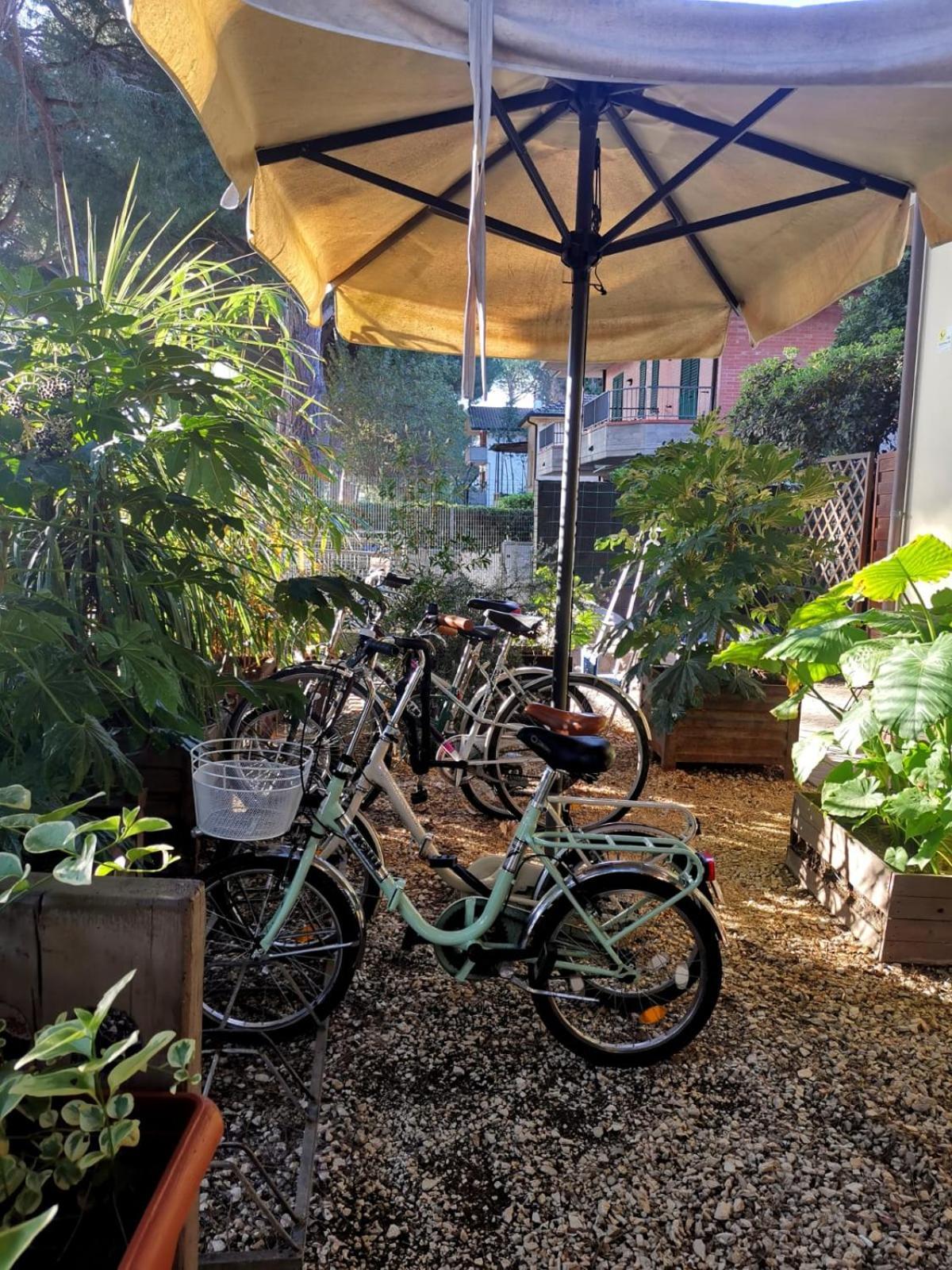 Casa Dorita - Free Breakfast Corner 8-12 Hotel แชร์เวีย ภายนอก รูปภาพ
