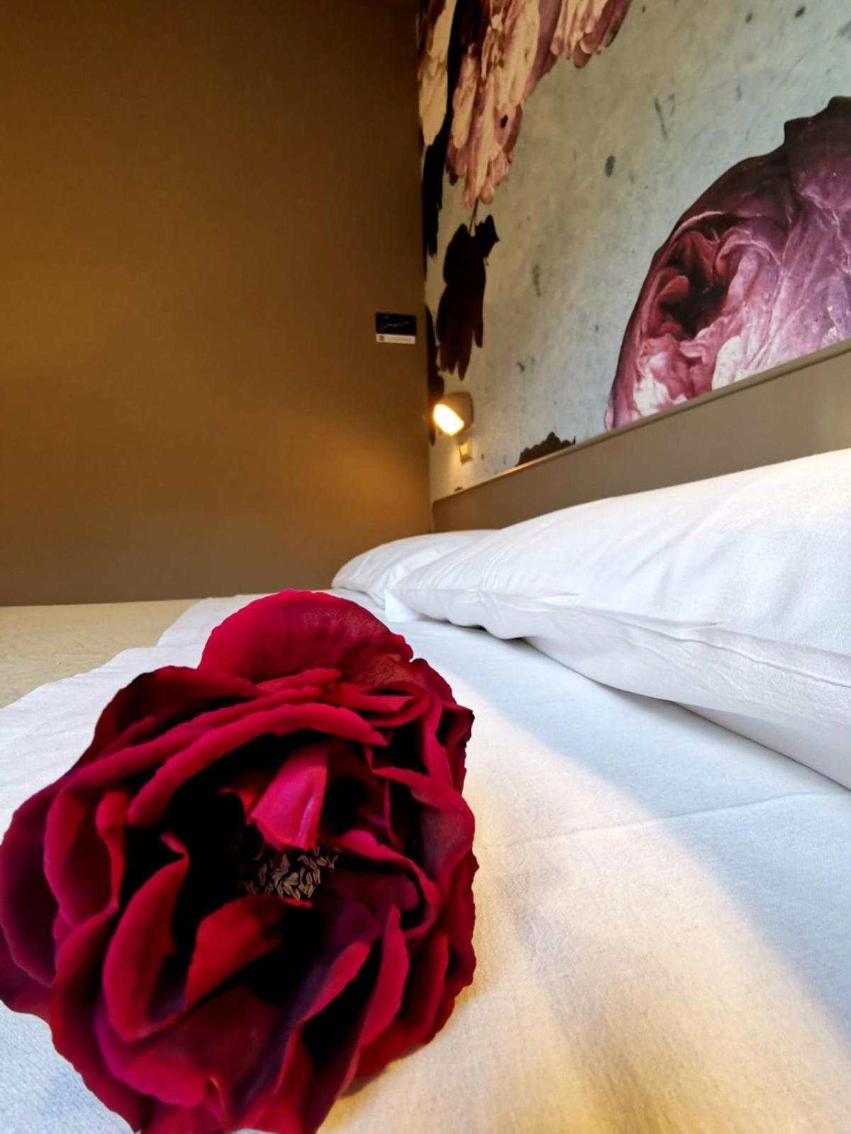 Casa Dorita - Free Breakfast Corner 8-12 Hotel แชร์เวีย ภายนอก รูปภาพ